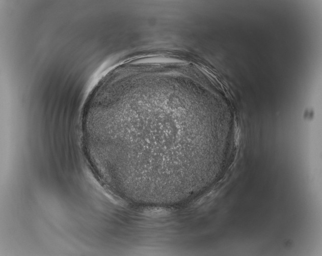 X0000114210198200910231414