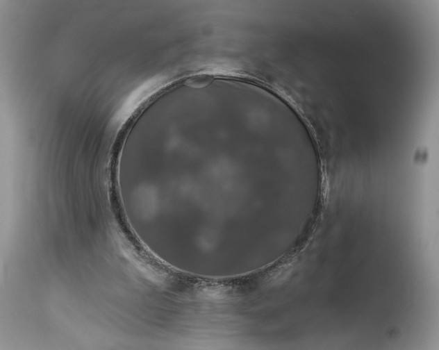 X0000114210199200910231414