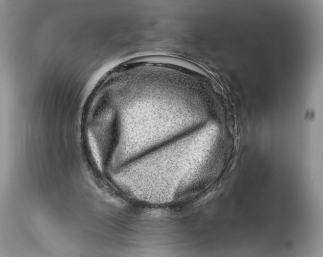 X0000114210200200910231414