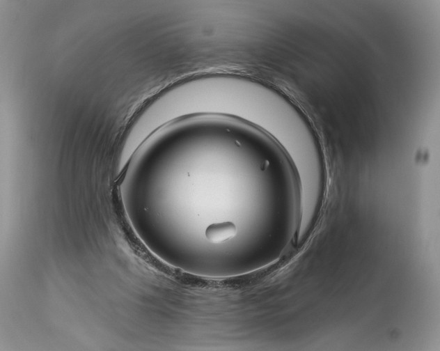 X0000114210201200910231414