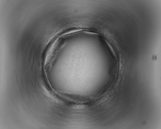 X0000114210202200910231414