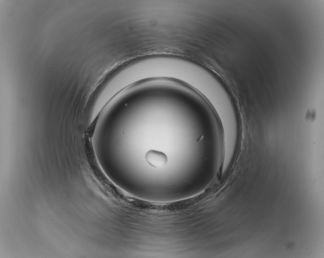 X0000114210203200910231414