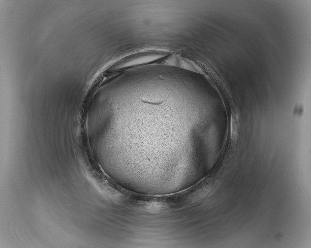 X0000114210204200910231414