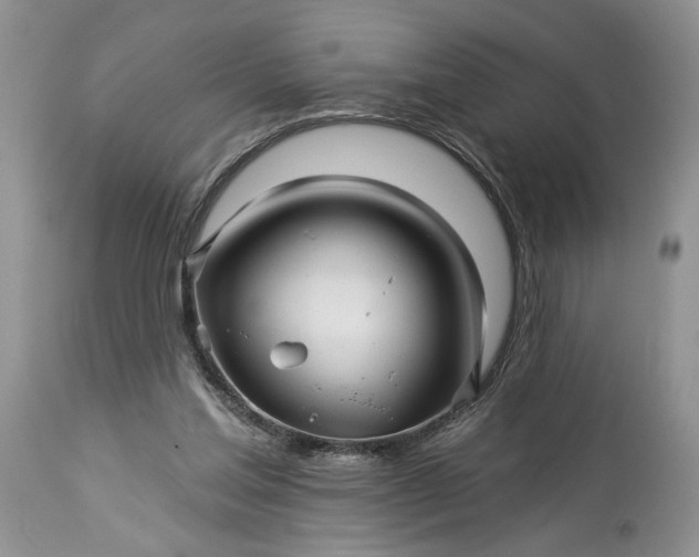 X0000114210205200910231414