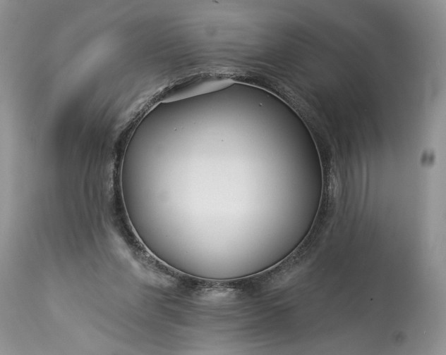 X0000114210206200910231414