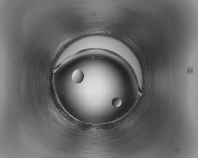 X0000114210207200910231414