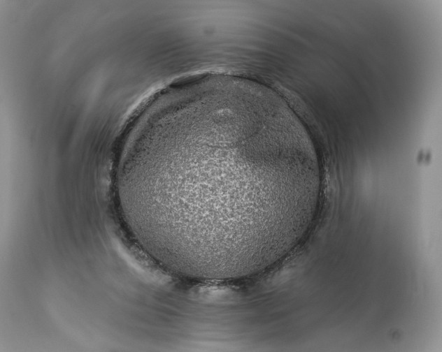 X0000114210208200910231414