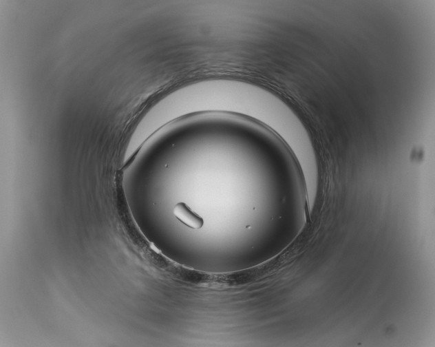 X0000114210211200910231414