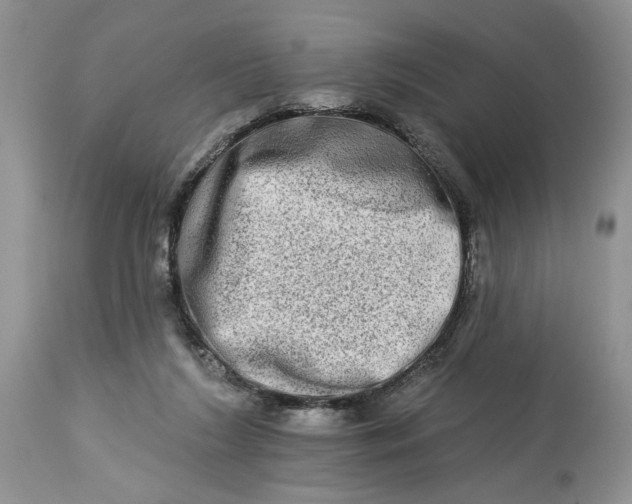 X0000114210212200910231414