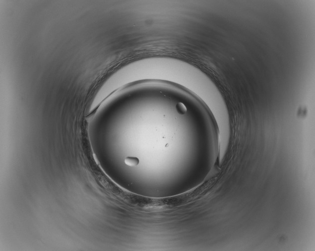 X0000114210213200910231414