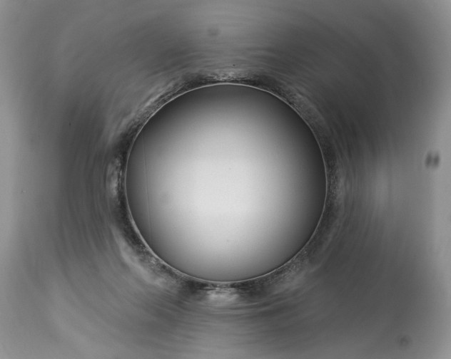 X0000114210214200910231414