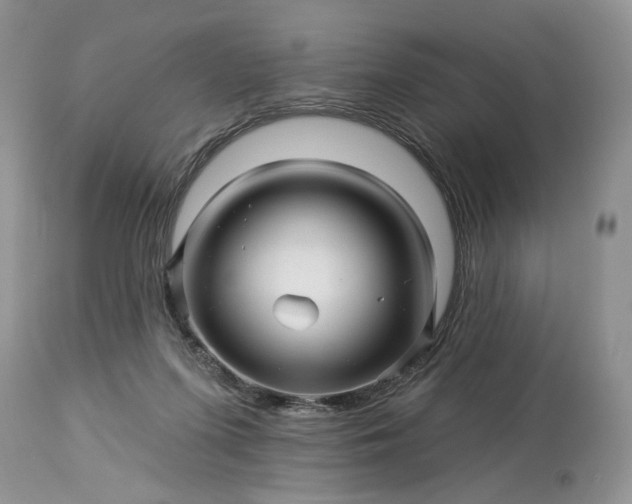 X0000114210215200910231414