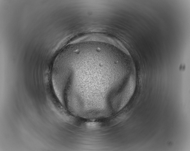 X0000114210216200910231414