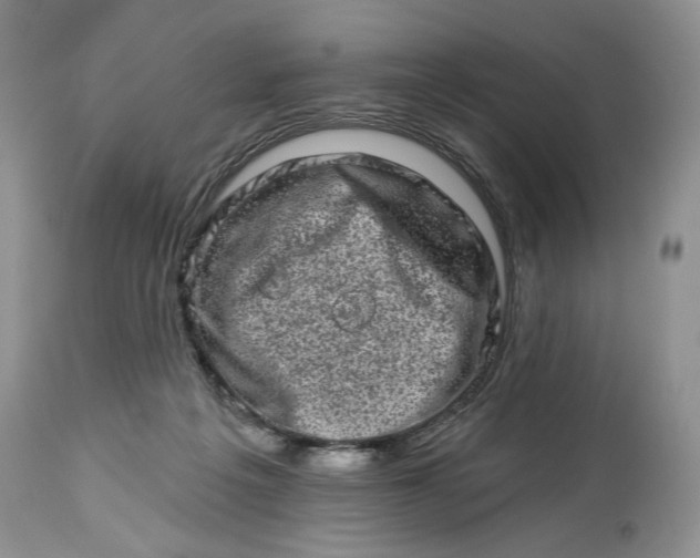 X0000114210217200910231414