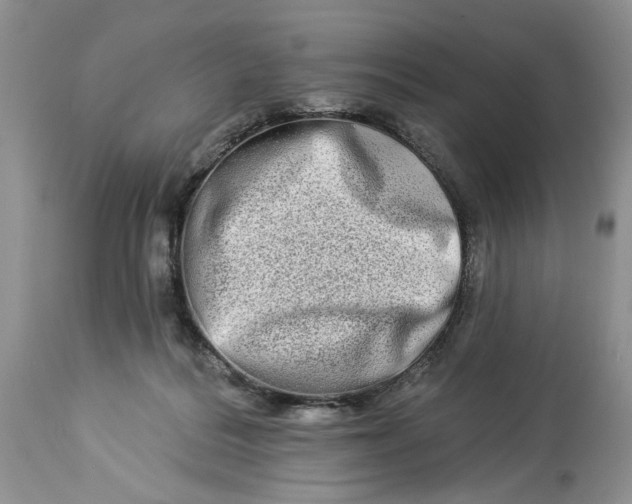 X0000114210220200910231414