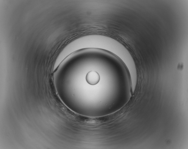 X0000114210221200910231414