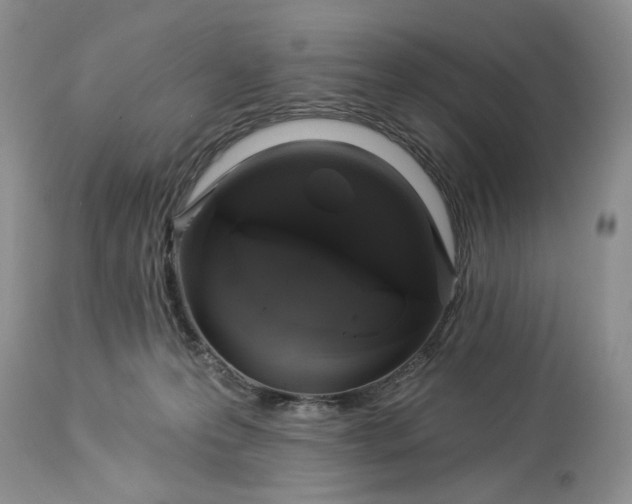 X0000114210223200910231413