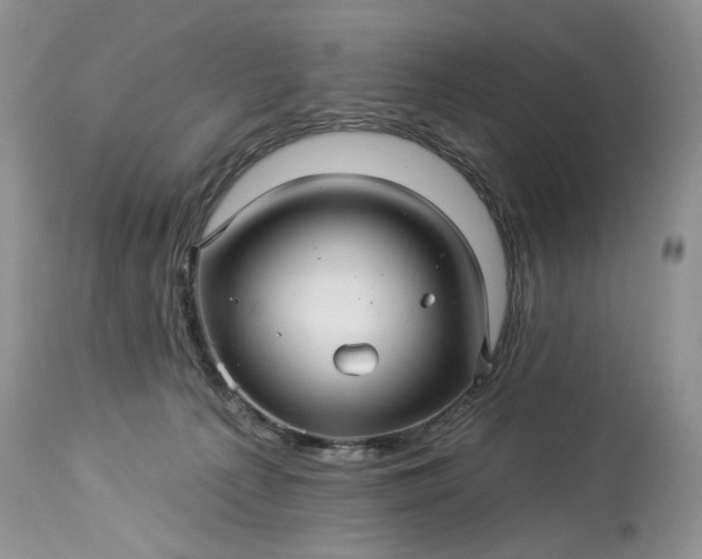 X0000114210225200910231413