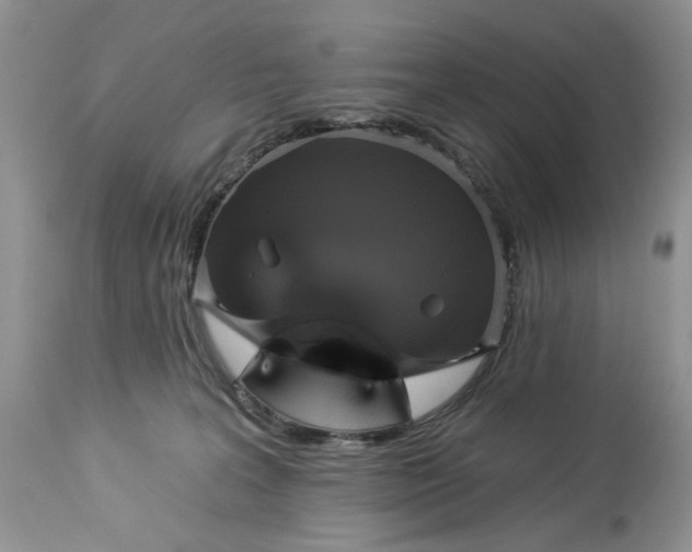 X0000114210227200910231413