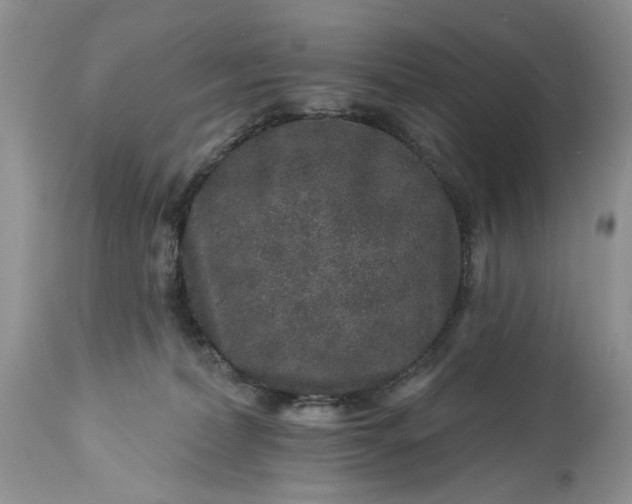 X0000114210228200910231413