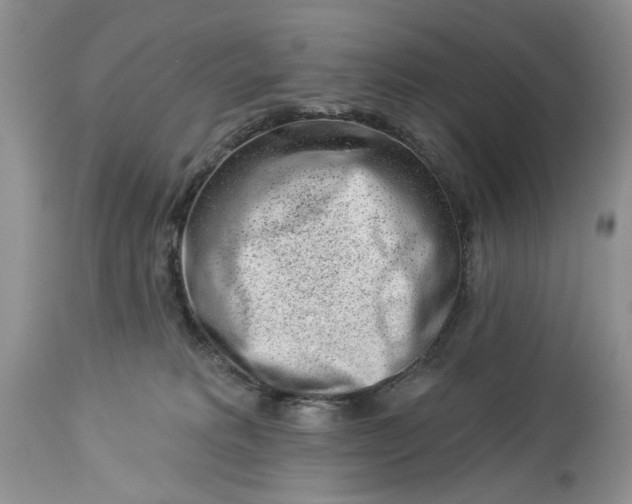 X0000114210229200910231413