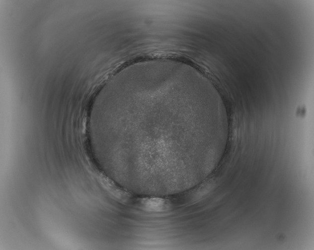 X0000114210230200910231413