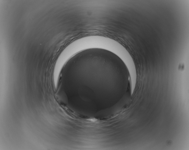 X0000114210231200910231413