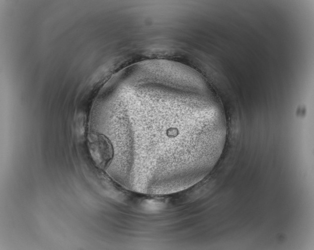 X0000114210232200910231413