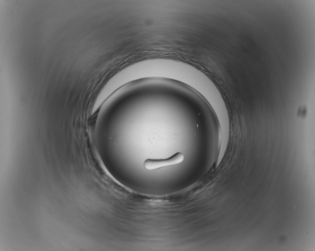 X0000114210233200910231413