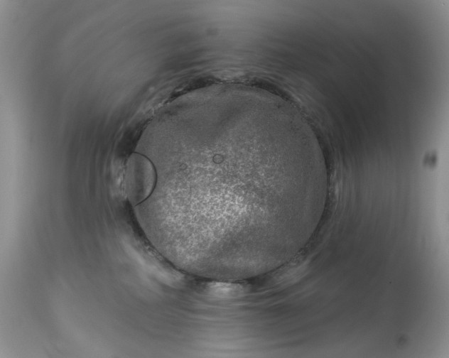 X0000114210234200910231413