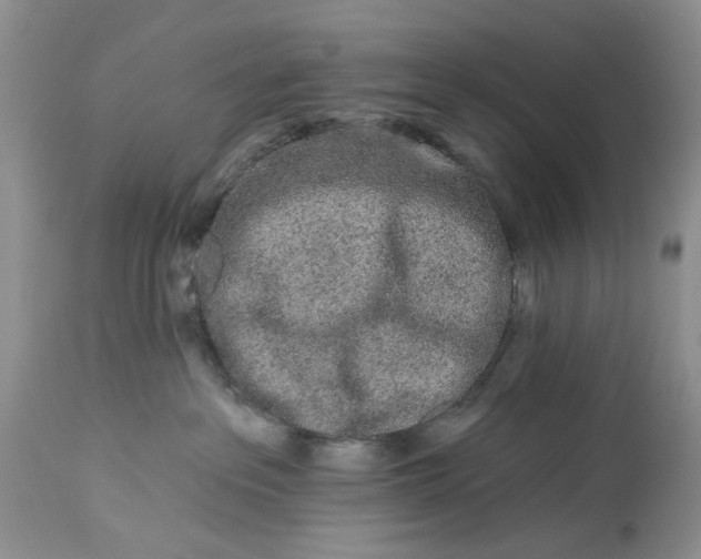 X0000114210237200910231413