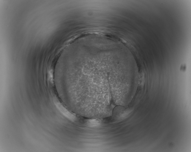 X0000114210238200910231413