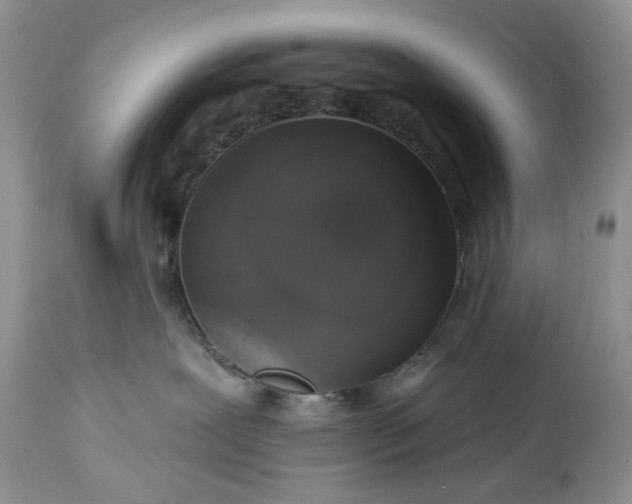 X0000114210239200910231413