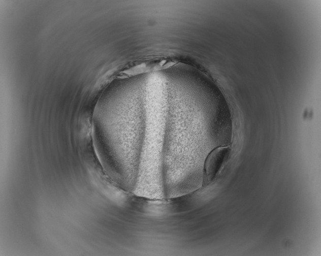 X0000114210240200910231413