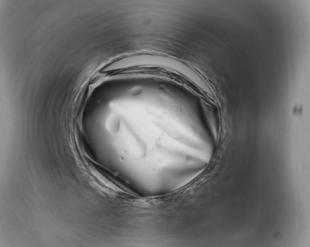 X0000114210241200910231412