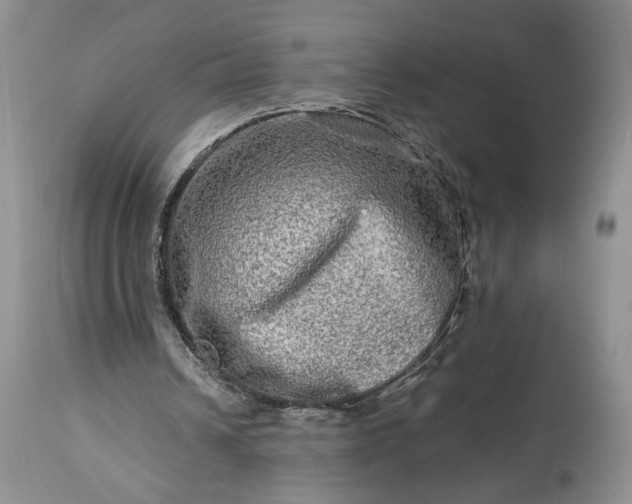 X0000114210242200910231412