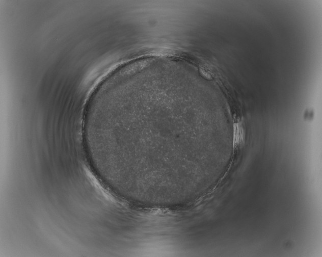 X0000114210243200910231412