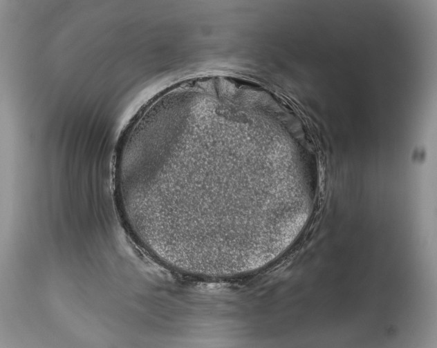 X0000114210244200910231412