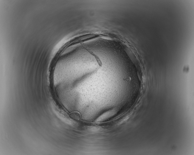 X0000114210246200910231412