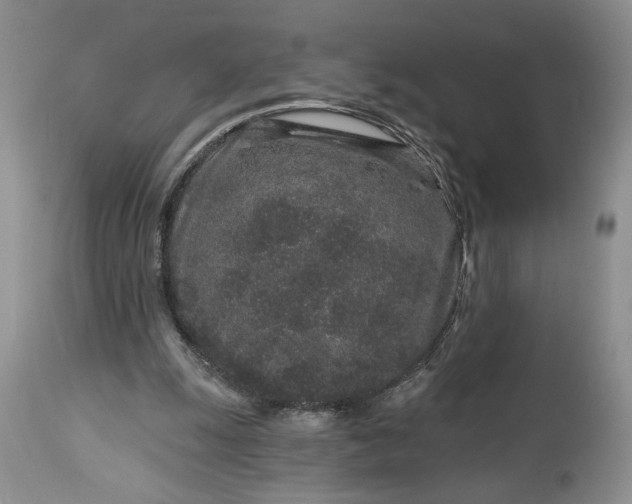 X0000114210247200910231412