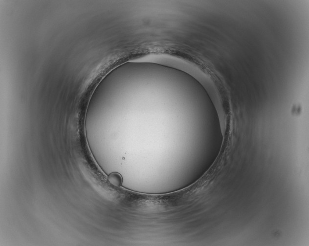 X0000114210250200910231412