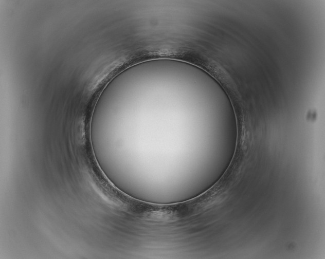 X0000114210251200910231412