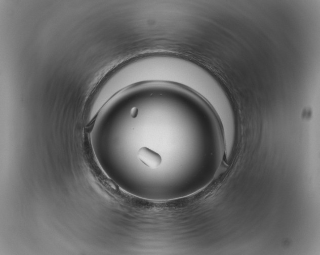 X0000114210252200910231412