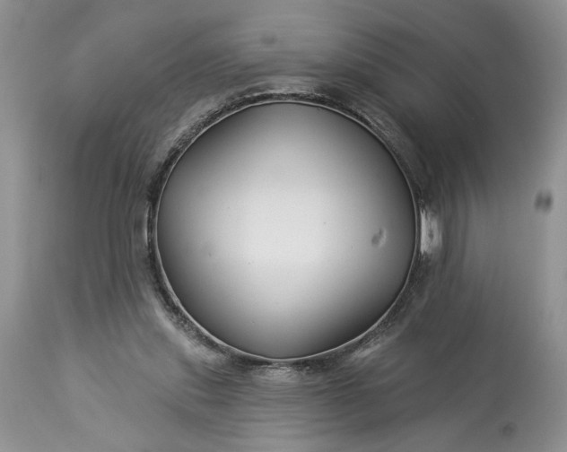 X0000114210253200910231412