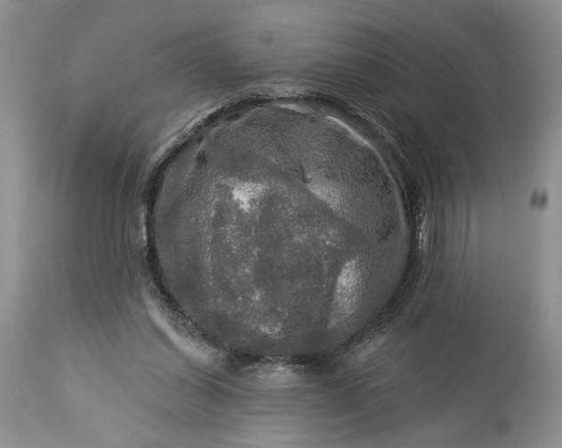 X0000114210254200910231412