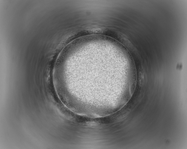 X0000114210259200910231412