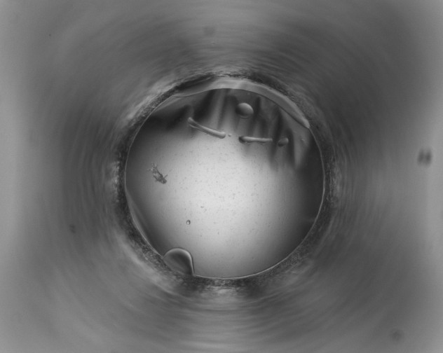 X0000114210260200910231413