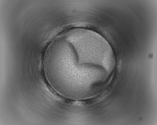 X0000114210261200910231413