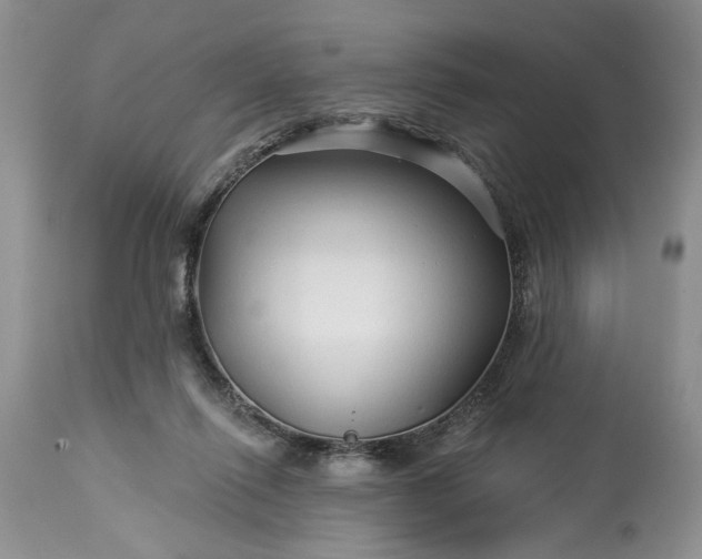 X0000114210262200910231413