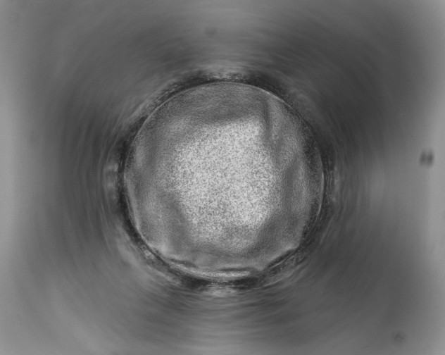 X0000114210263200910231413